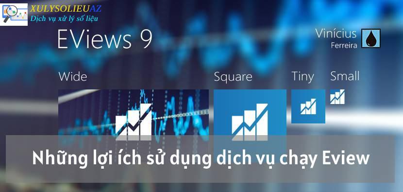 Dịch vụ chạy Eview 1