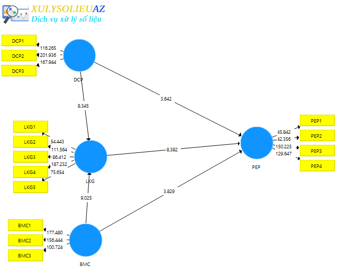 Dịch vụ xử lý AMOS 1