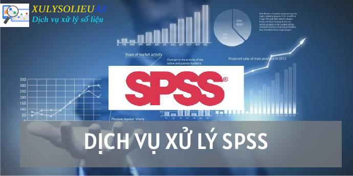 Dịch vụ xử lý SPSS