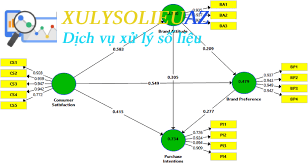 Dịch vụ xử lý Smart PLS 1