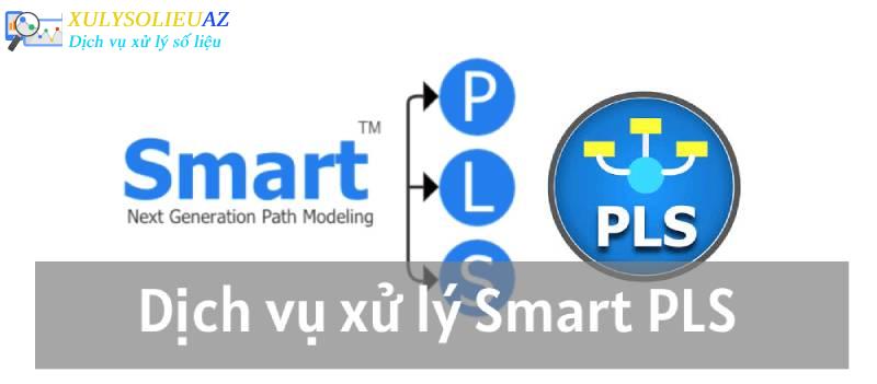 Dịch vụ xử lý Smart PLS