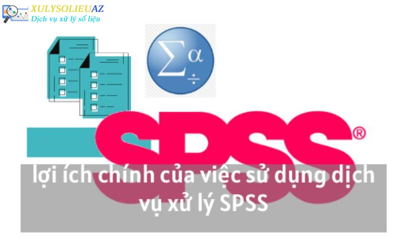 lợi ích chính của việc sử dụng dịch vụ xử lý SPSS